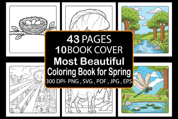 Most Beautiful Coloring Book for Spring Graphics for Kdp Interiors